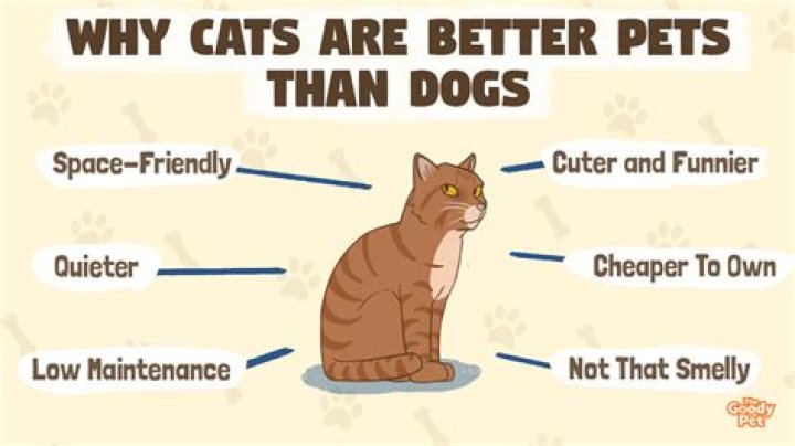 Are dogs or cats better?