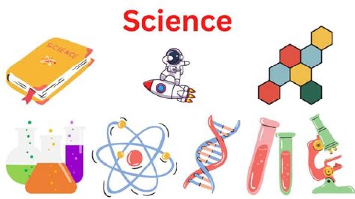 Are INFJ good at science?