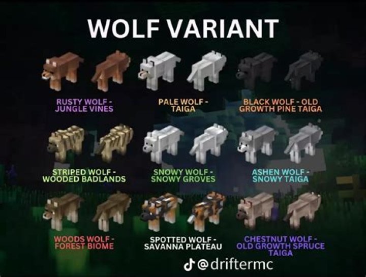 Are the Wolves part of Negan's group?