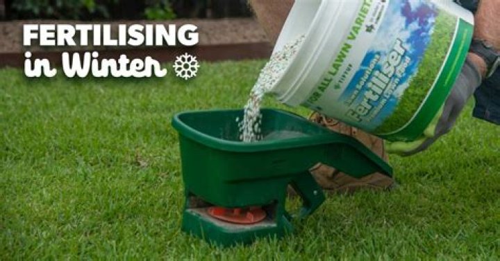 Can I Fertilise my lawn in winter?