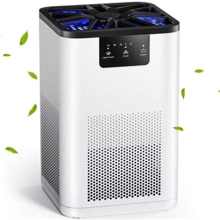 Can I use air purifier with ceiling fan?