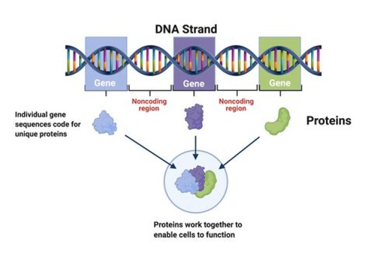 Can serial killer genes be passed on?