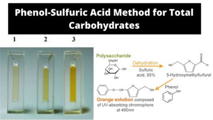 Can you put sulfuric acid in the toilet?
