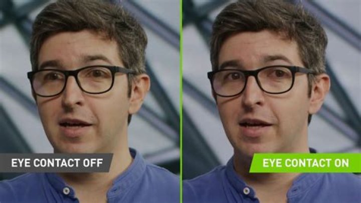 Do crows like eye contact?