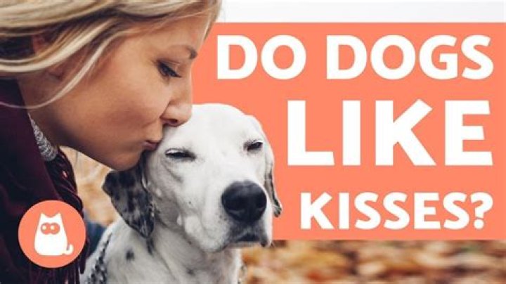 Do dogs know when we kiss them?