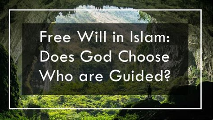 Do we have free will in Islam?
