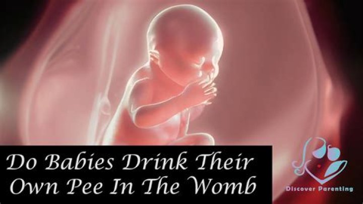 Does baby pee in womb?