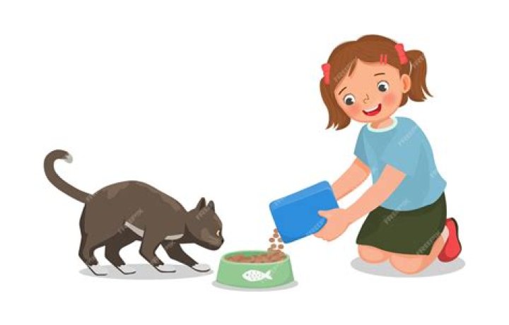 Does Disney feed the cats?