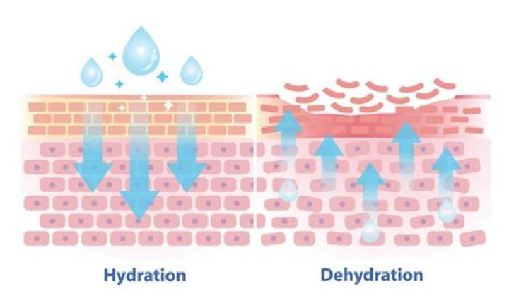 Does fascia get dehydrated?