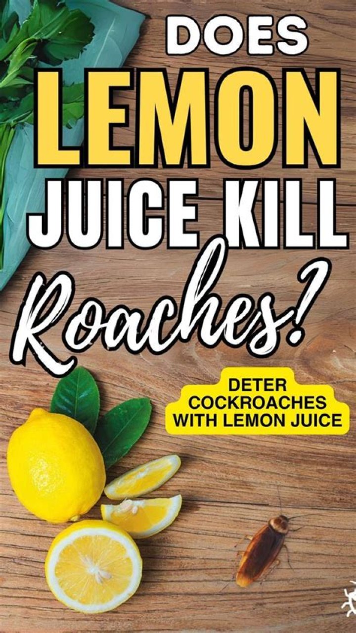 Does lemon deter roaches?