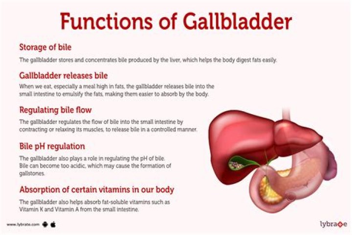 Does vitamin D affect gallbladder?