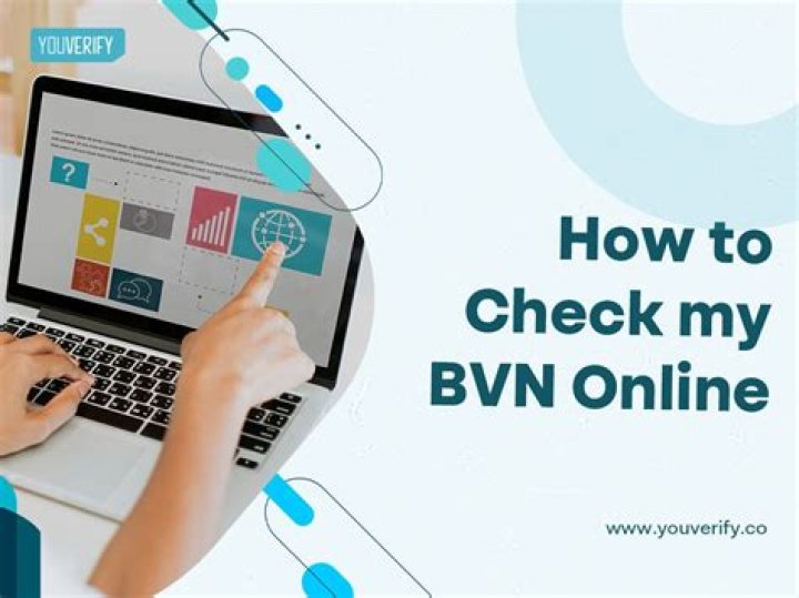 How do I check my BVN age?