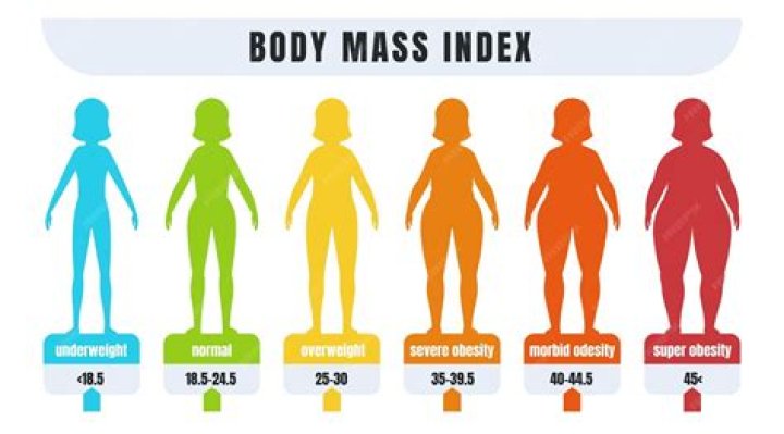 How do I know if Im fat?