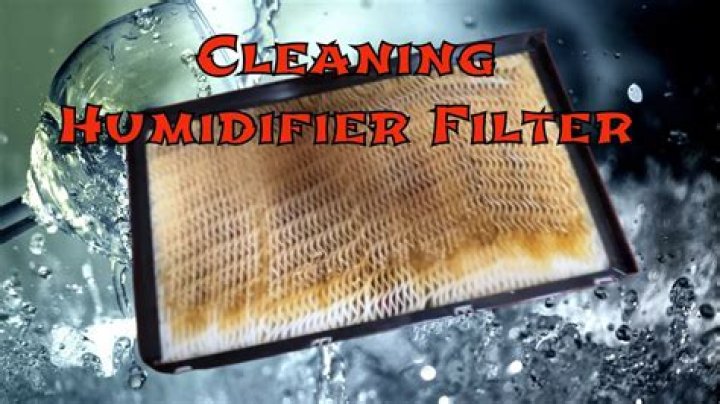How do you disinfect a humidifier filter?