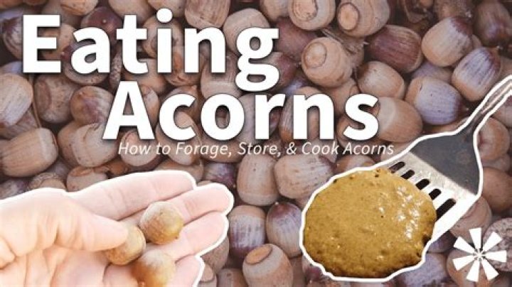 How do you make acorn butter?
