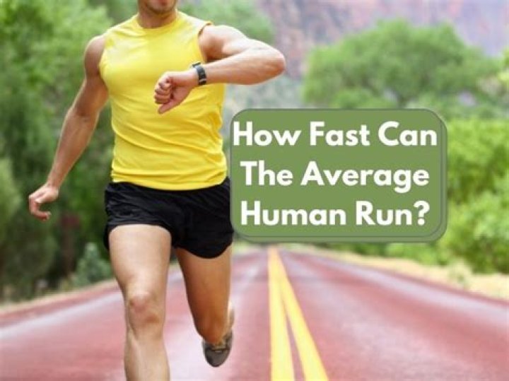 How fast can the average human punch?