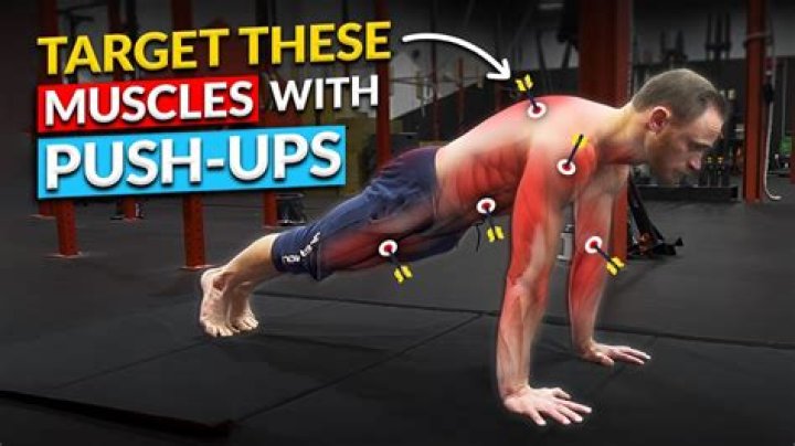 How many pushups do seals do a day?