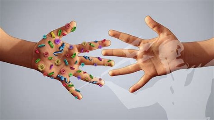How much bacteria is on your hands?
