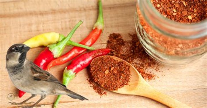 How much cayenne pepper should I add to bird seed?