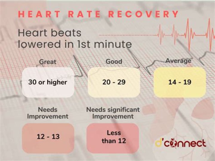 Is a heart rate of 30 too low?