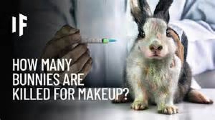 Is animal testing morally wrong?