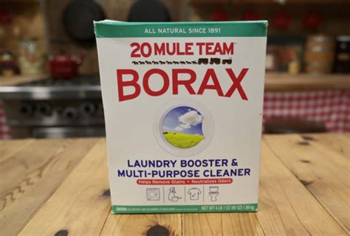 Is Borax the same as Bon Ami?