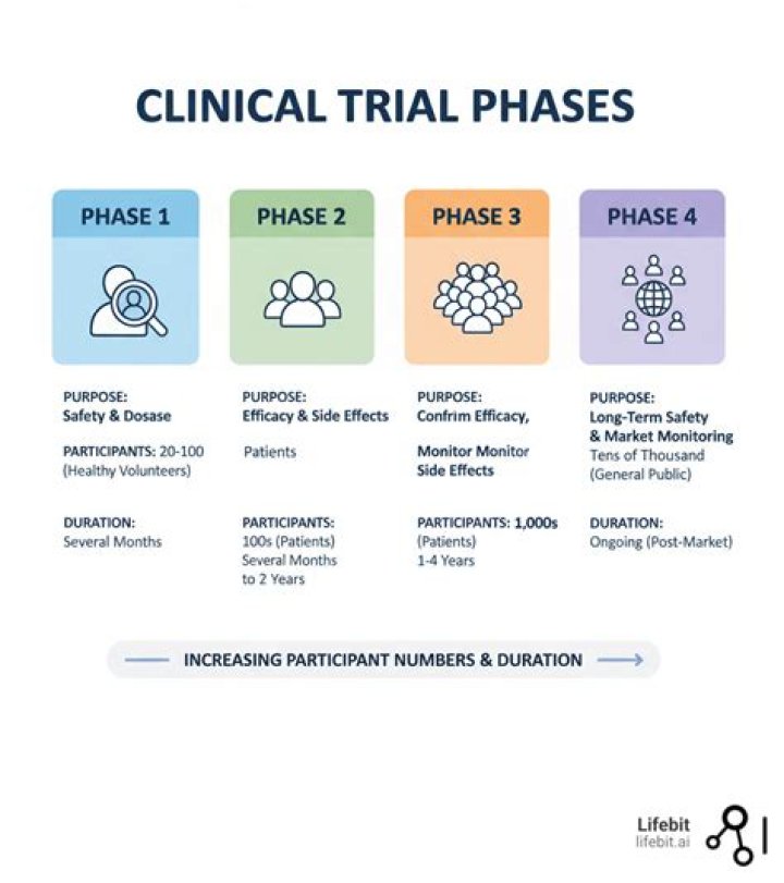 What are the 4 phases of a project?