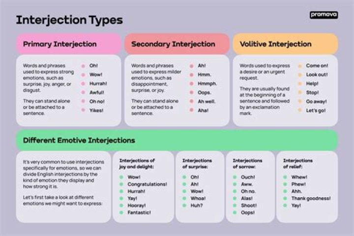 What are the types of AM detectors?