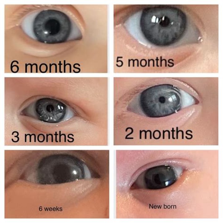 What color eyes does circus baby have?