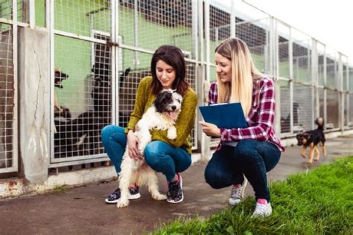 What do puppy mills do with unsold puppies?