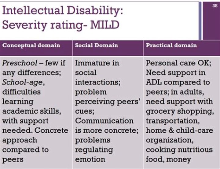 What does a mild intellectual disability look like?