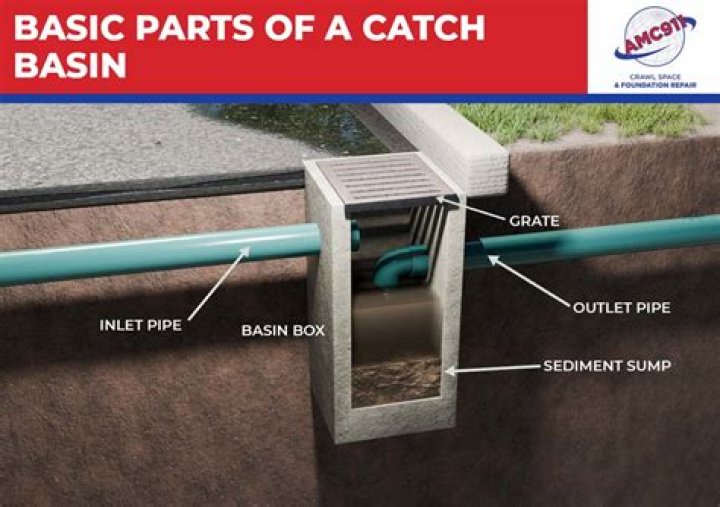 What does catch on quick mean?