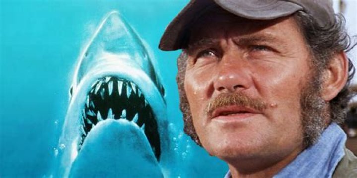 What does Chief Brody say at the end of Jaws?