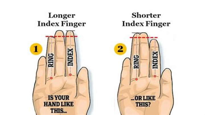 What does it mean if your ring finger is shorter than your index?