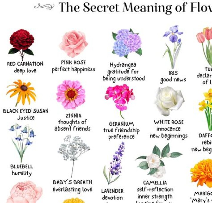 What flower means change?