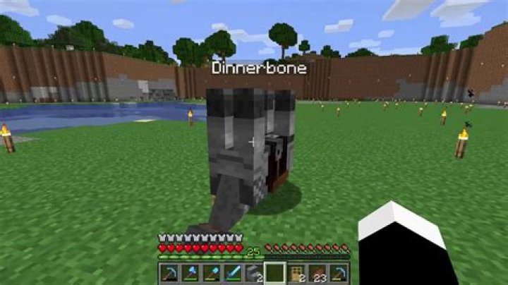 What happens if you name a horse Dinnerbone?