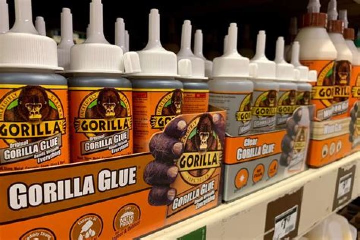 What if a dog eats Gorilla Glue?