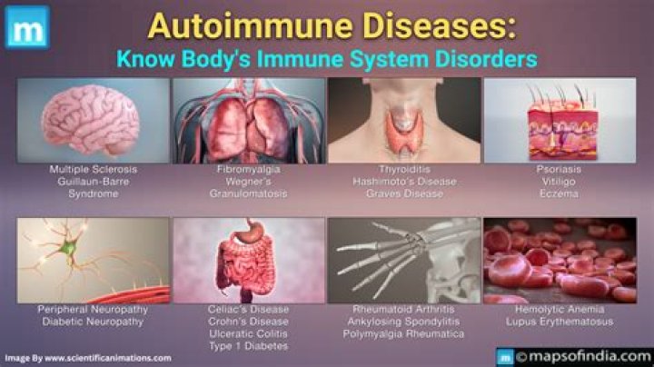 What is an autoimmune disorder List 5 examples?