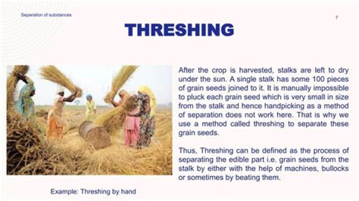What is an example of threshing?