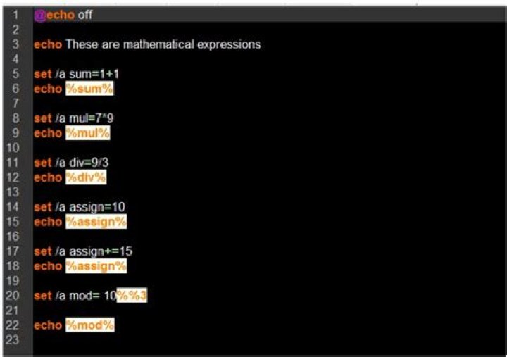 What is @echo on in batch script?