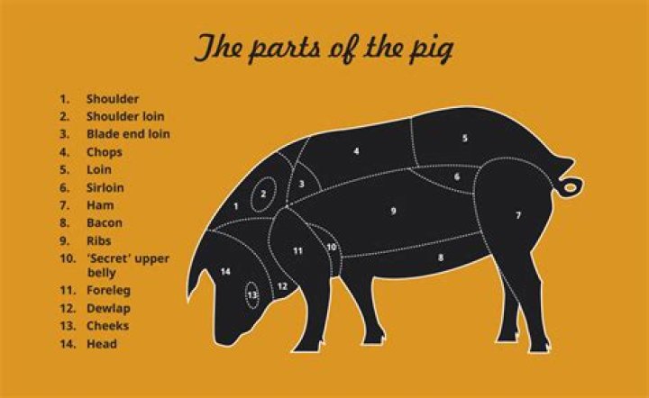 What part of the pig is chorizo from?