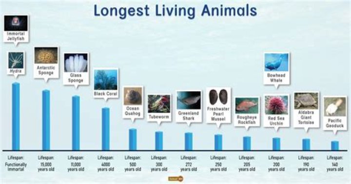What soda has been around the longest?