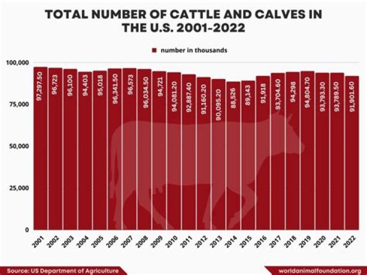 What US state has the most cattle?