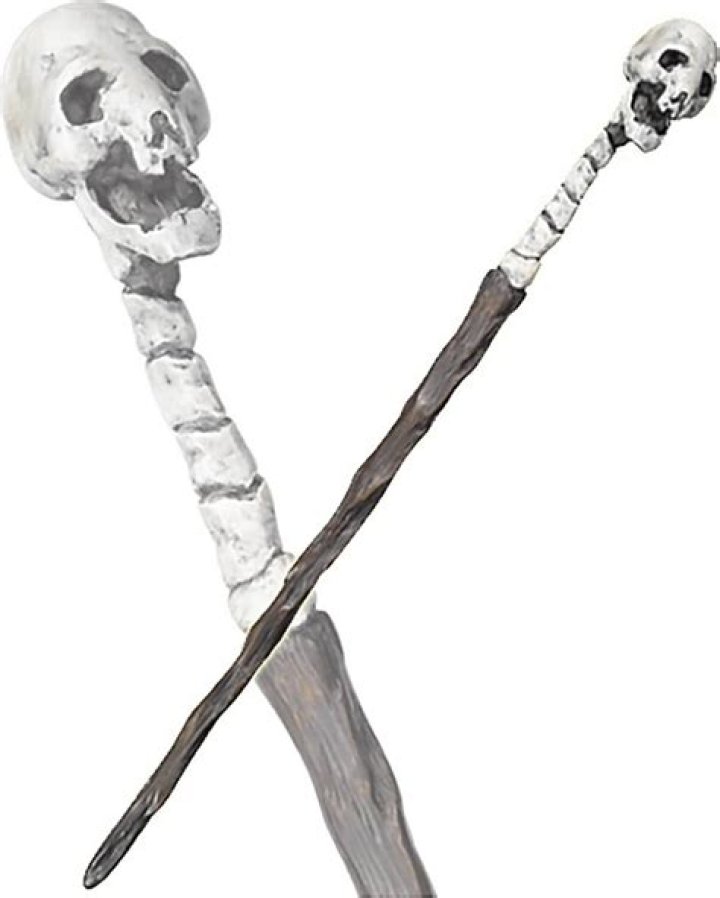 Who has the Death Eater skull wand?