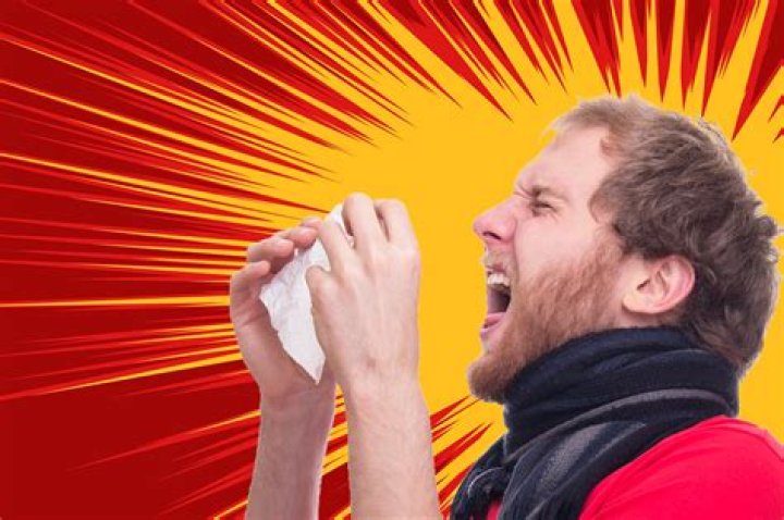 Why do I sneeze a lot?