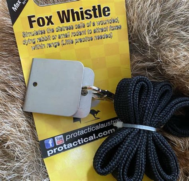 Why does Mr Fox whistle?