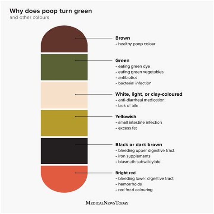 Why is my puke dark green?